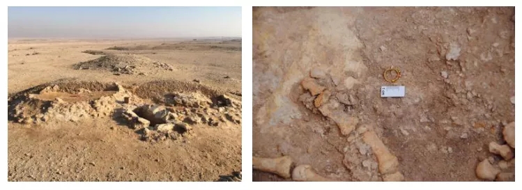 乌赛拉墓地以及发现的人骨和金耳环.jpg